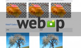 Imagem de O que é arquivo WebP?