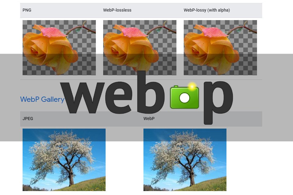 O que é arquivo WebP?