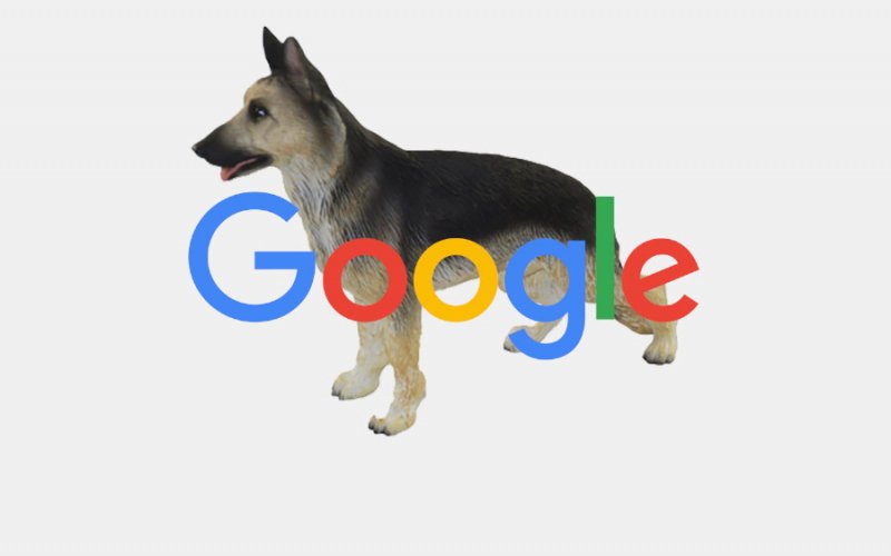 Google Começa a exibir RA na Pesquisa com animais 3D