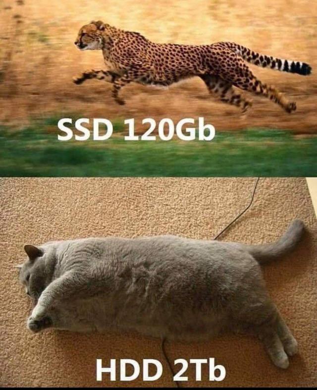 SSD 120 GB Guepardo - HDD 2 T gatinho gordo