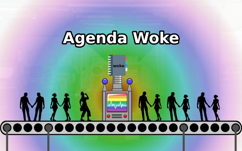 Imagem de O que é Agenda Woke?