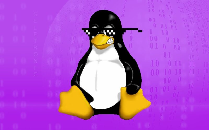 Imagem de Linux atinge 3% de participação no mercado, mas permanece com adoção limitada