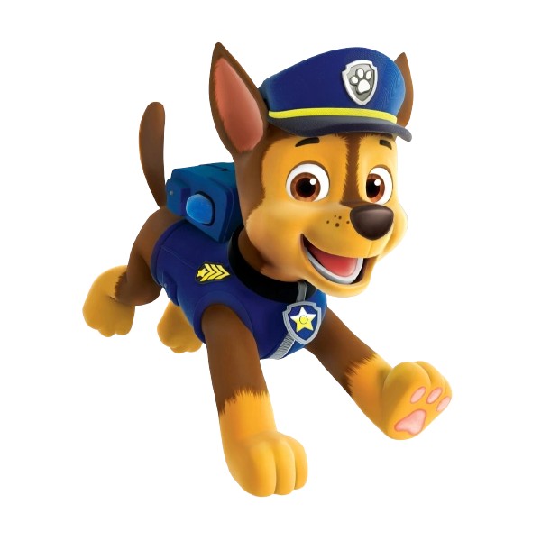Patrulha Canina: Onde assistir, Nomes dos Cachorros, Raças e muito mais ...