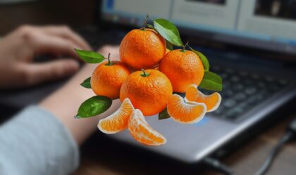 Imagem de Não Mexa no computador se Comer Mexerica (Tangerina)