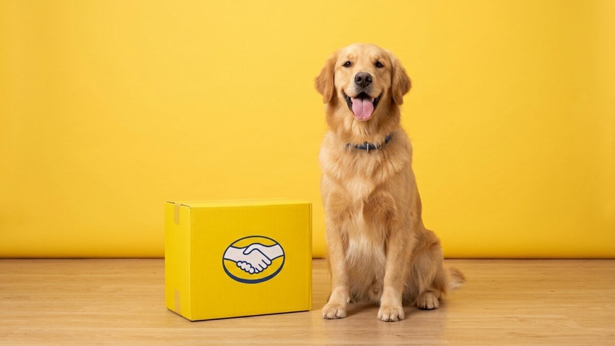 Cupons Mercado Livre Pet Week e Bebes Quarta 26/08
