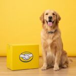 Cupons Mercado Livre Pet Week e Bebes Quarta 26/08