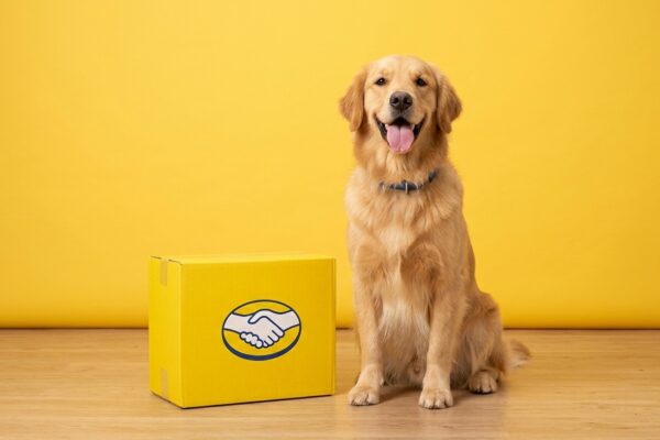 Cupons Mercado Livre Pet Week e Bebes Quarta 26/08